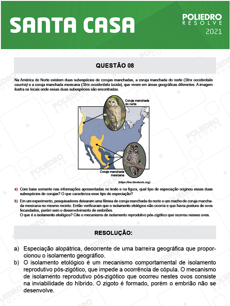 Dissertação 8 - 2º Dia - SANTA CASA 2021