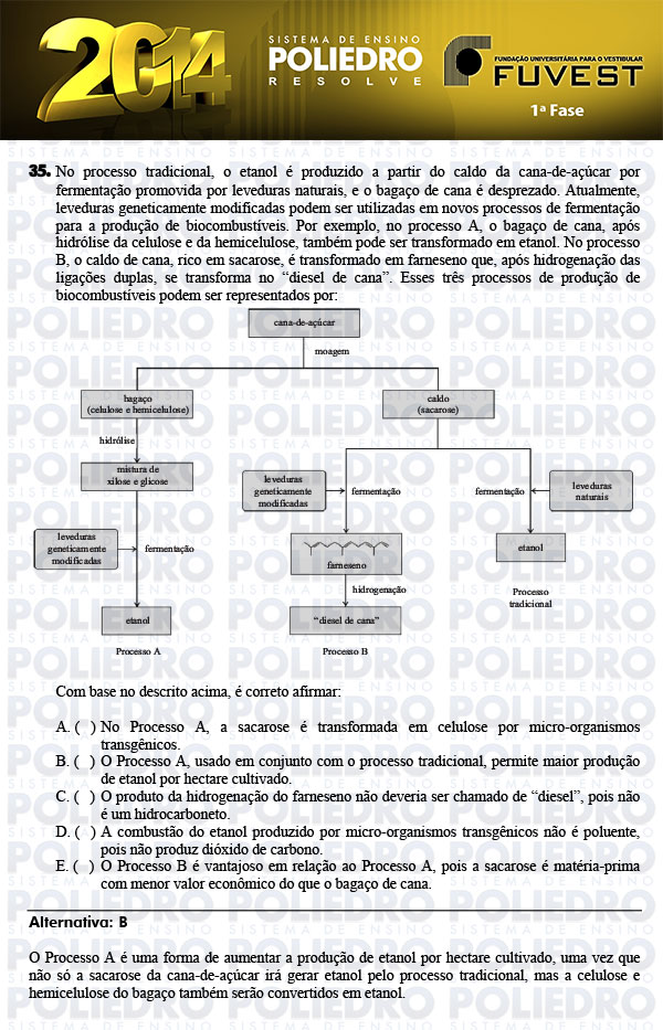 Questão 35 - 1ª Fase - FUVEST 2014