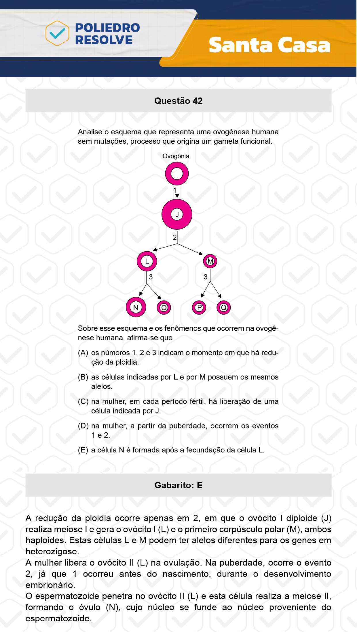 Questão 42 - 1º Dia - SANTA CASA 2024