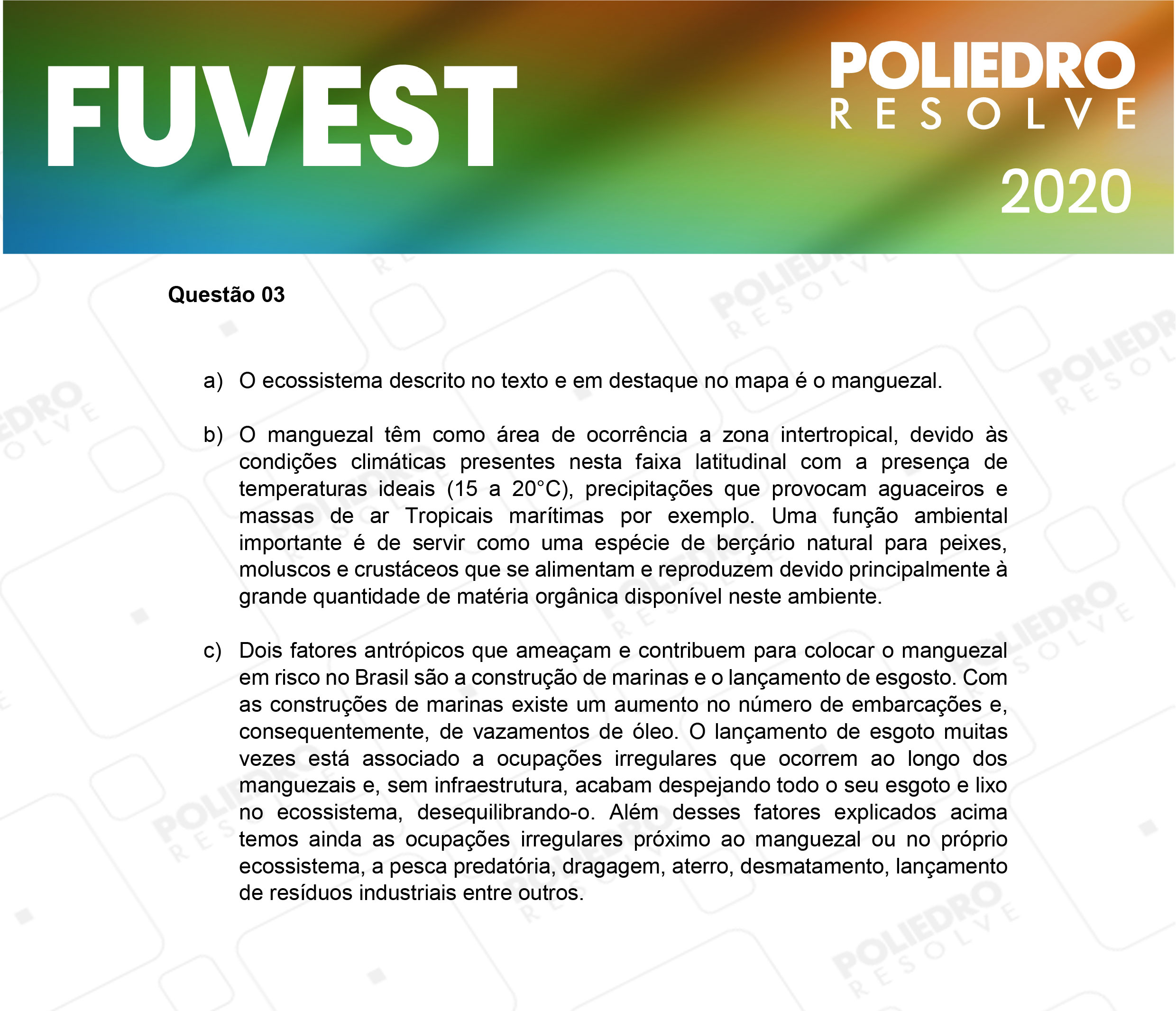 Dissertação 3 - 2ª Fase - 2º Dia - FUVEST 2020