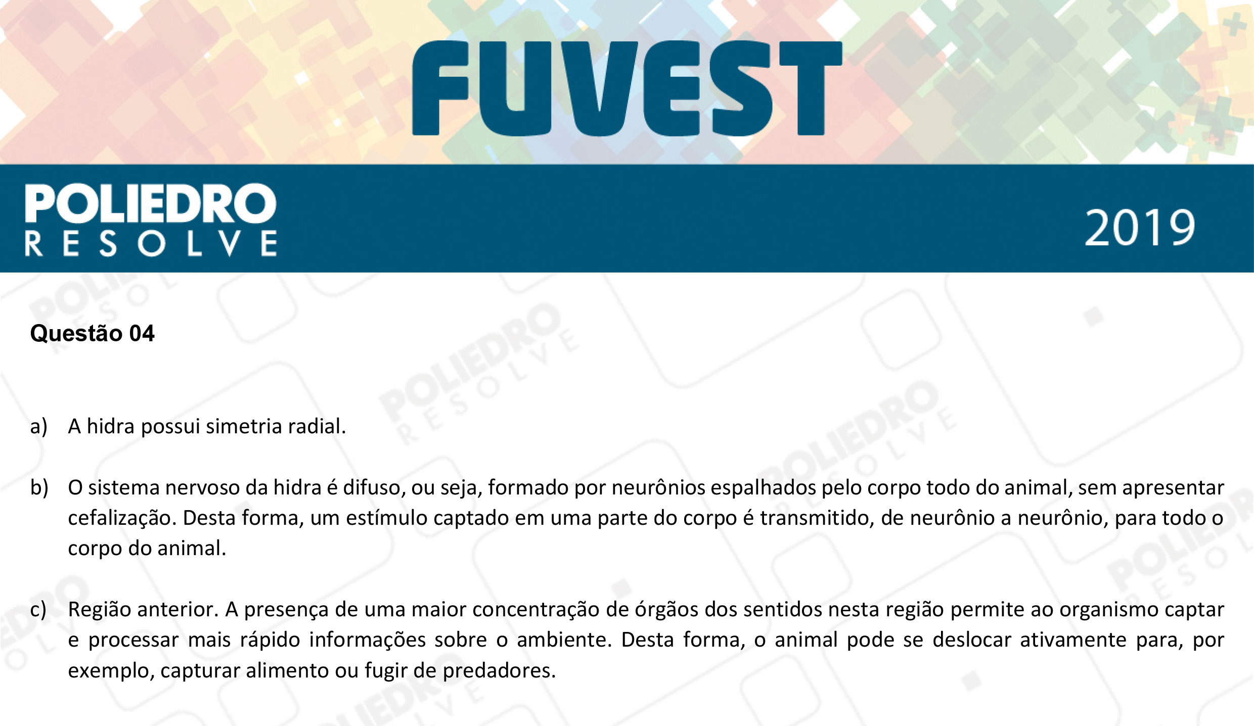 Dissertação 4 - 2ª Fase - 2º Dia - FUVEST 2019