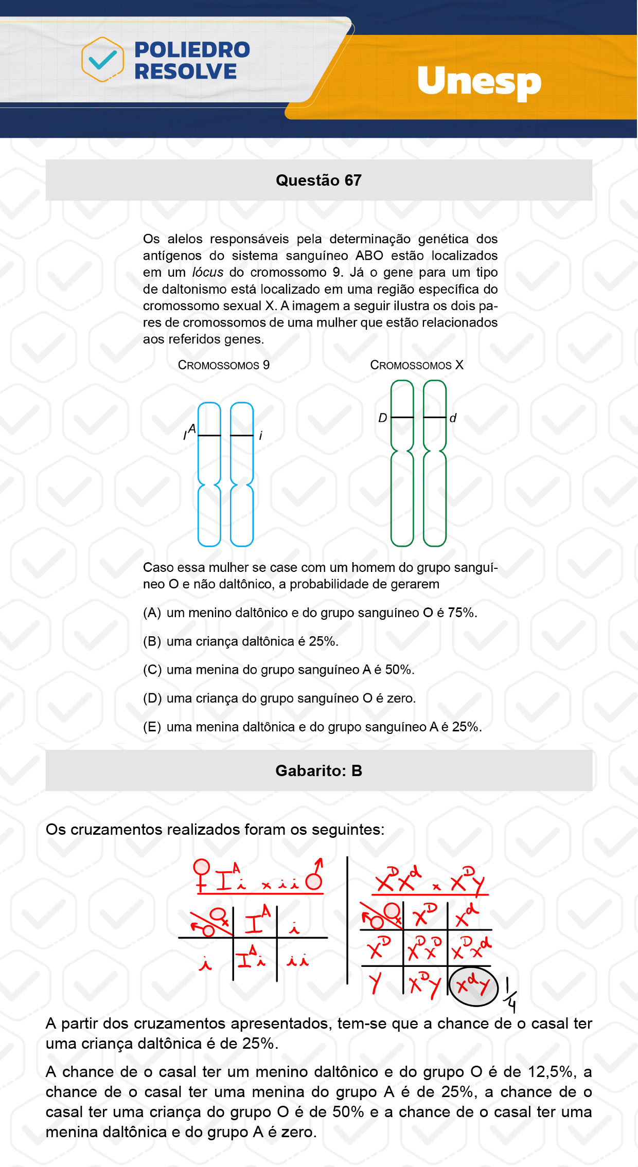 Questão 67 - 1ª Fase - UNESP 2024