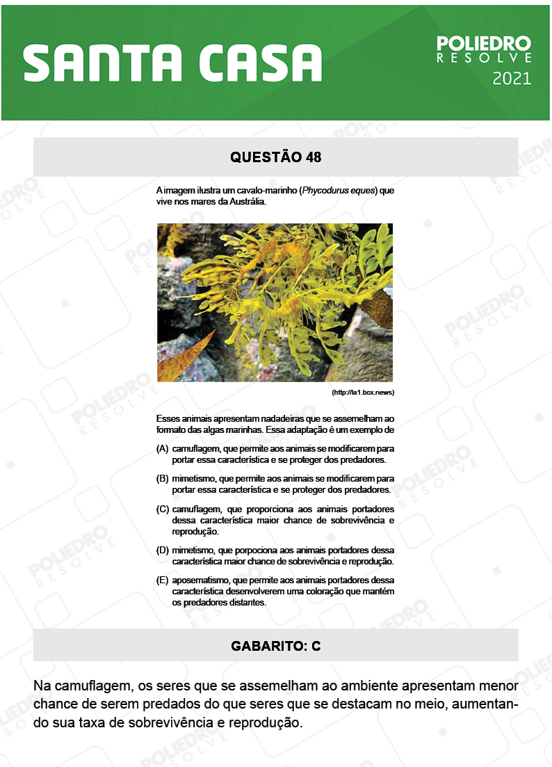 Questão 48 - 1º Dia - SANTA CASA 2021