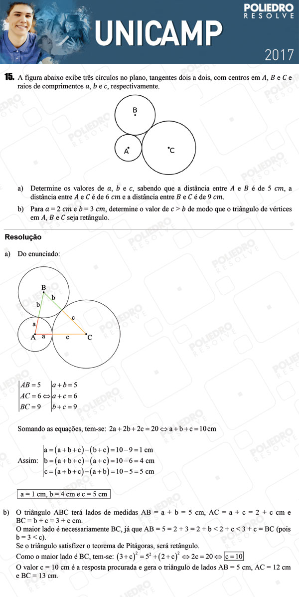 Dissertação 15 - 2ª Fase 2º DIA - UNICAMP 2017