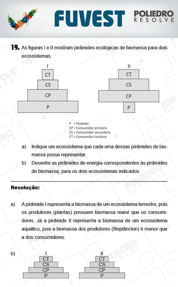 Dissertação 1 - 2ª Fase - 3º Dia - FUVEST 2018