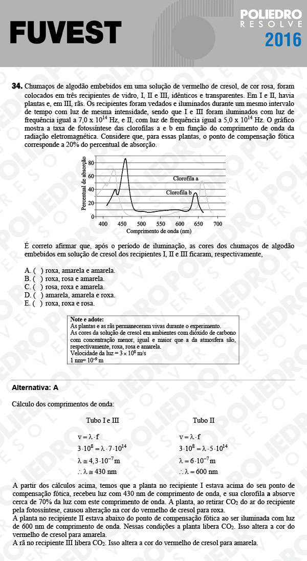 Questão 34 - 1ª Fase - FUVEST 2016