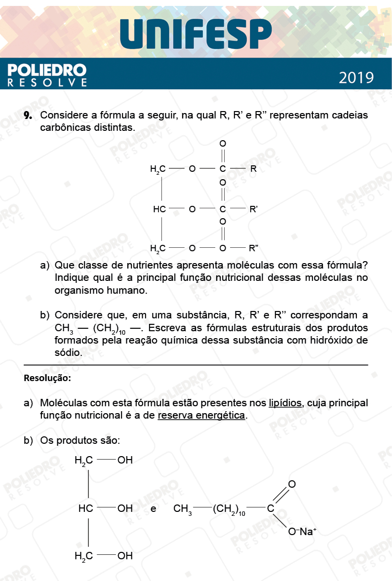 Dissertação 9 - Fase única - 2º Dia - UNIFESP 2019