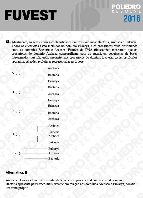 Questão 41 - 1ª Fase - FUVEST 2016