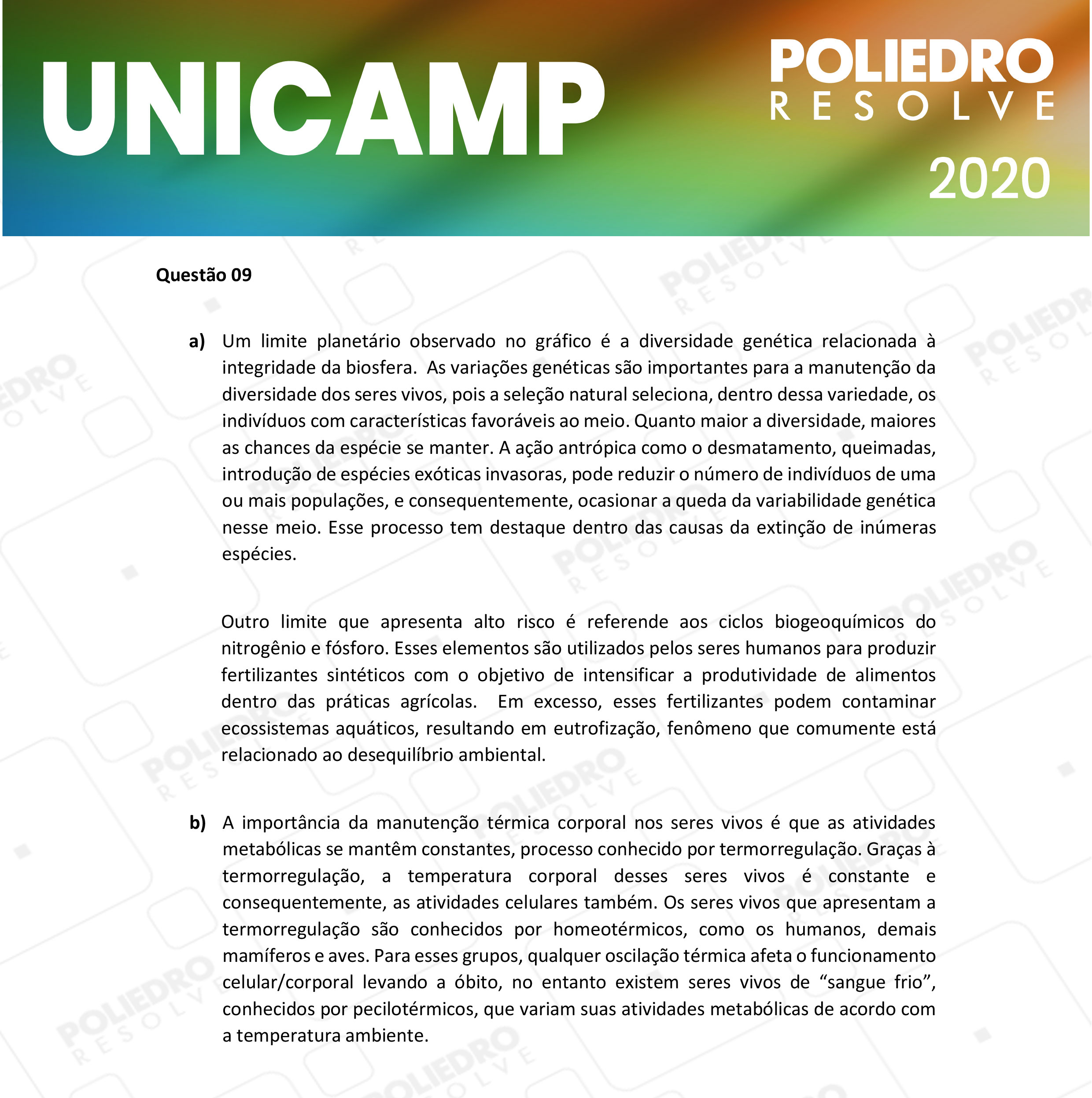 Dissertação 9 - 2ª Fase - 1º Dia - UNICAMP 2020