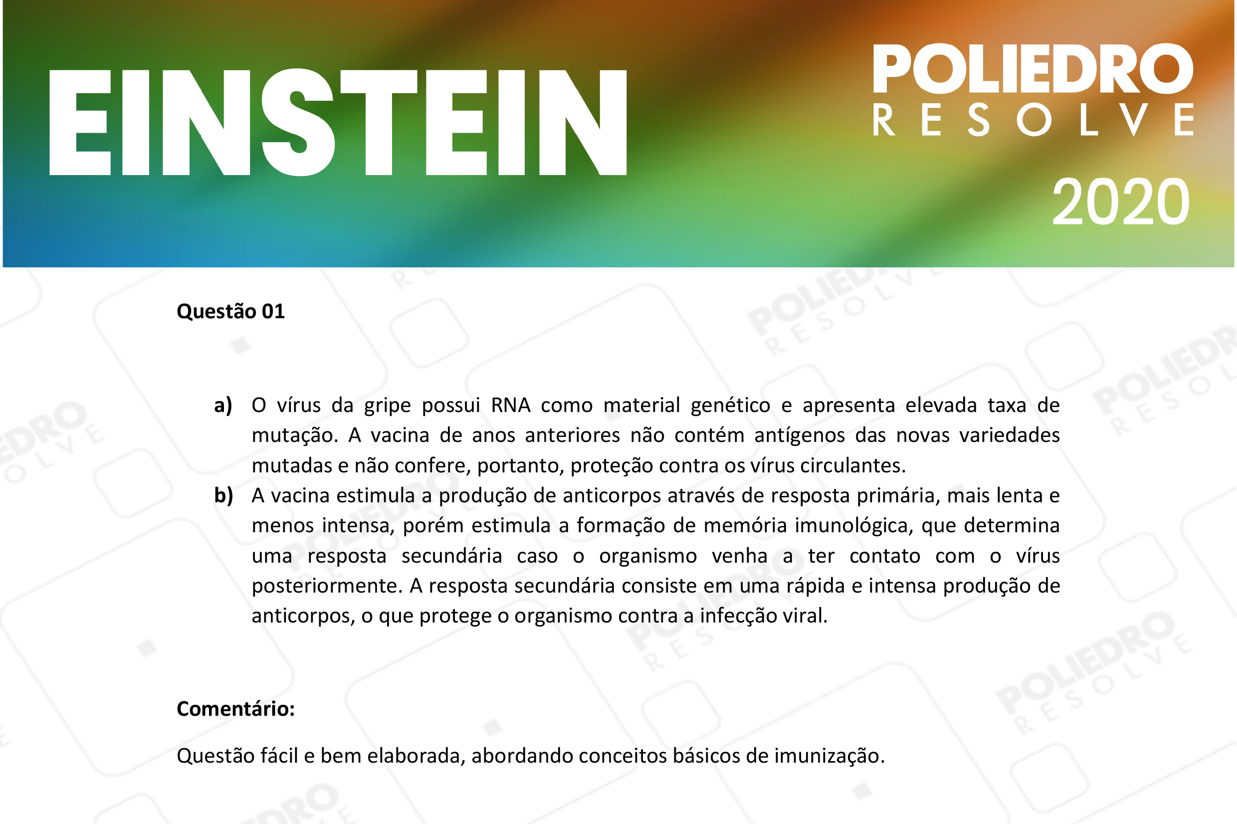 Dissertação 1 - Fase única - EINSTEIN 2020