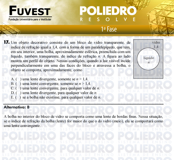 Questão 17 - 1ª Fase - FUVEST 2011