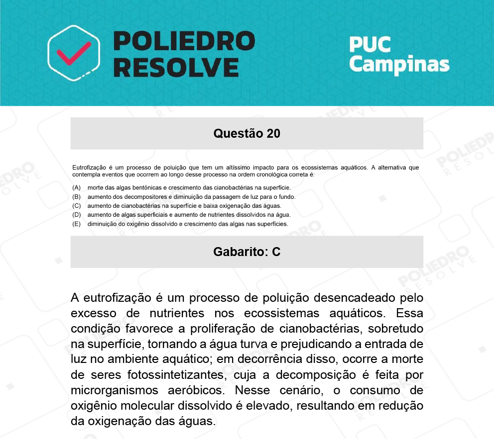 Questão 20 - Prova Geral e Medicina - PUC-Campinas 2022