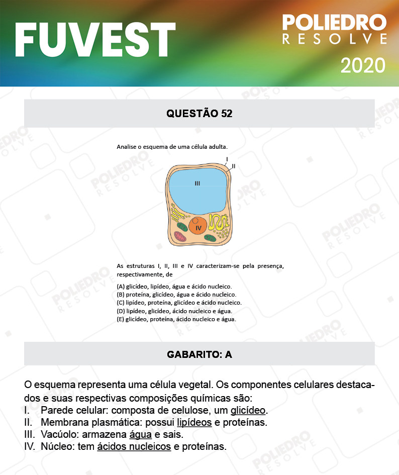 Questão 52 - 1ª Fase - Prova V - FUVEST 2020