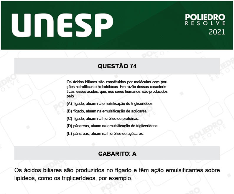 Questão 74 - 1ª Fase - 1º Dia - UNESP 2021