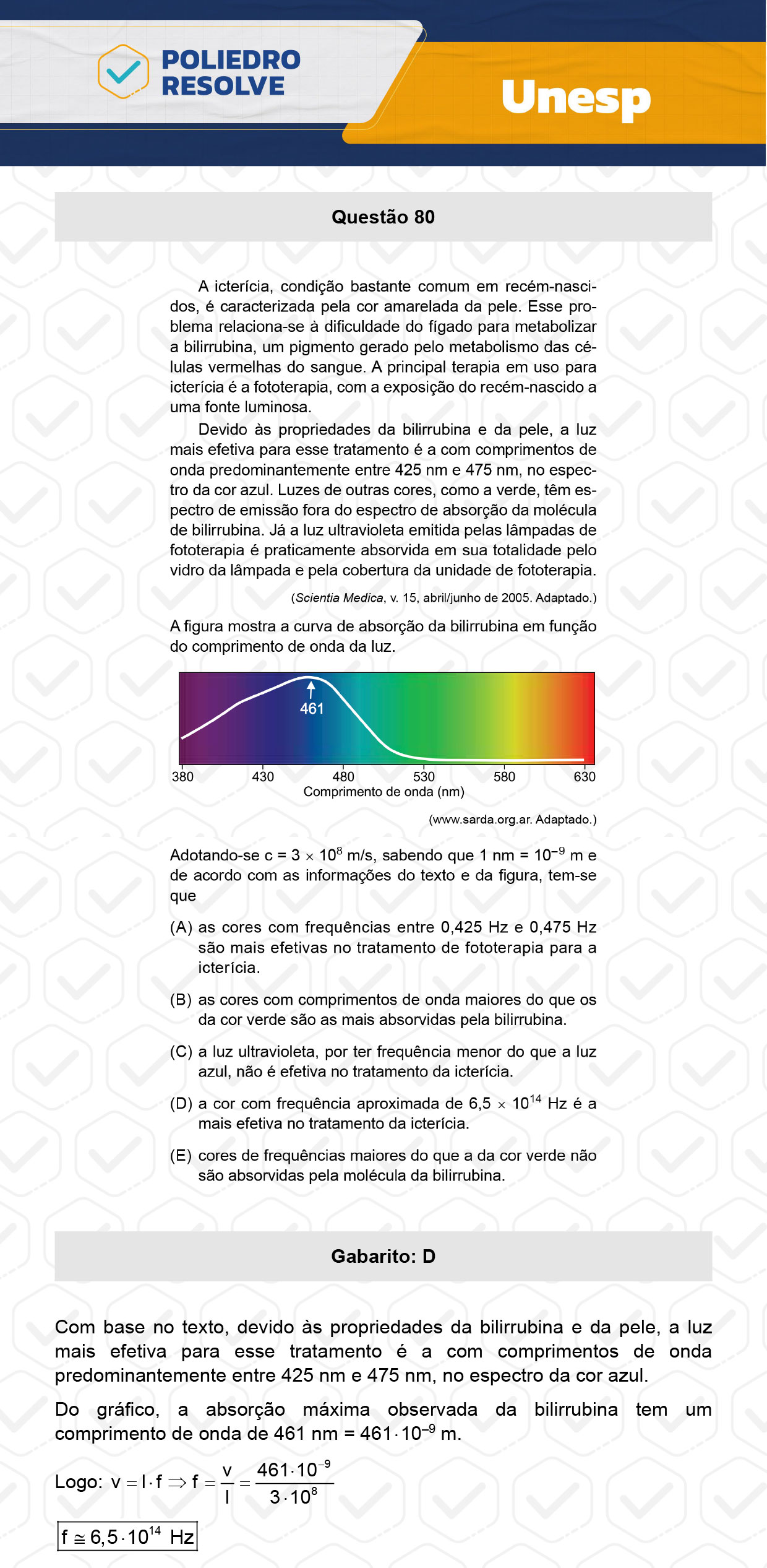 Questão 80 - 1ª Fase - UNESP 2024