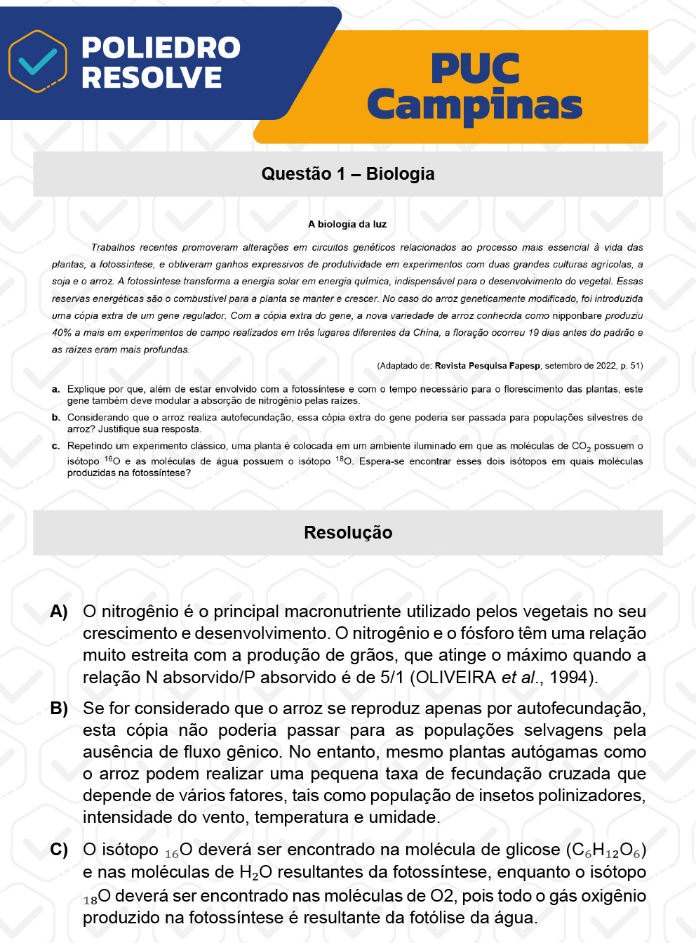 Dissertação 41 - Prova Geral e Medicina - PUC-Campinas 2023