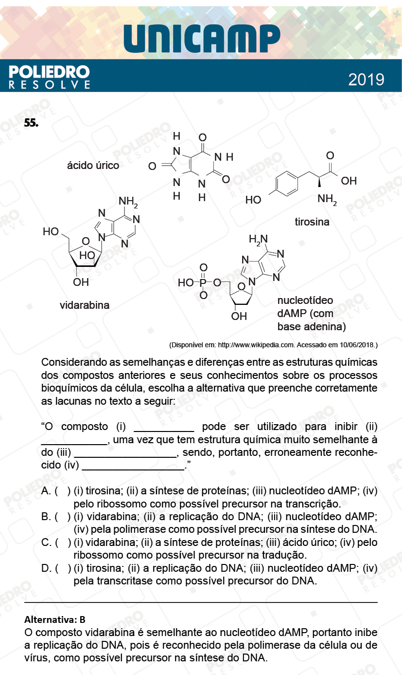 Questão 55 - 1ª Fase - PROVA Q e X - UNICAMP 2019