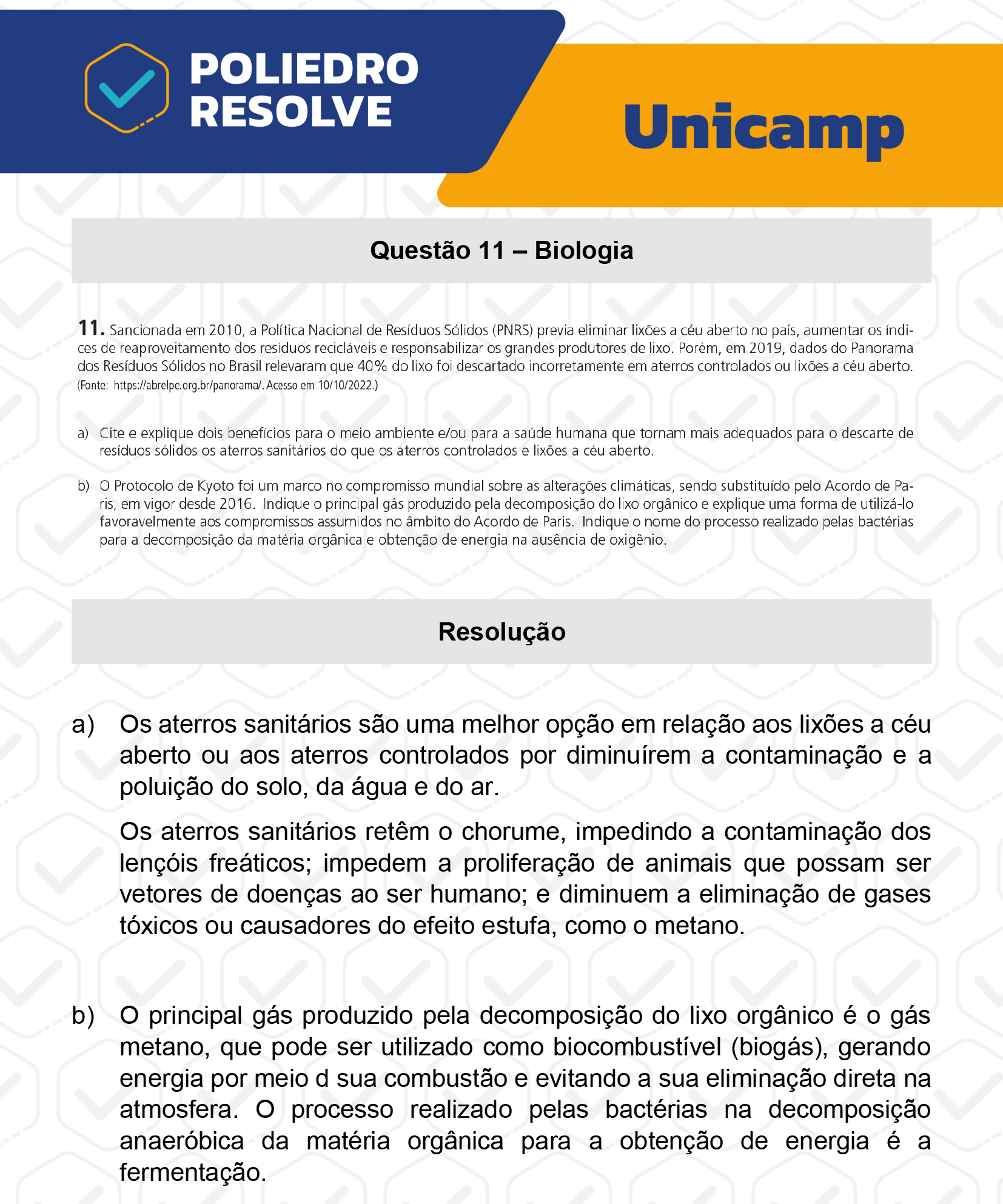 Dissertação 11 - 2ª Fase - 2º Dia - UNICAMP 2023