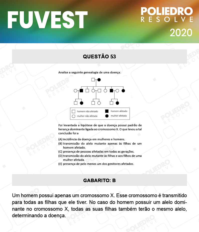 Questão 53 - 1ª Fase - Prova V - FUVEST 2020