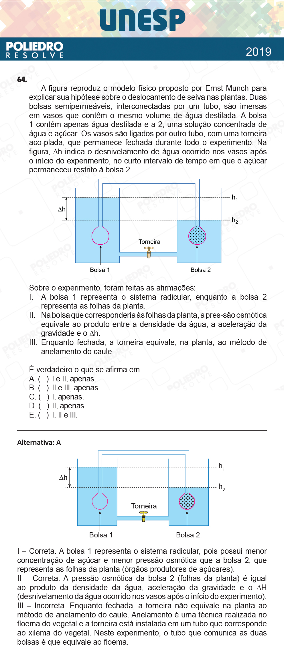 Questão 64 - 1ª Fase - UNESP 2019