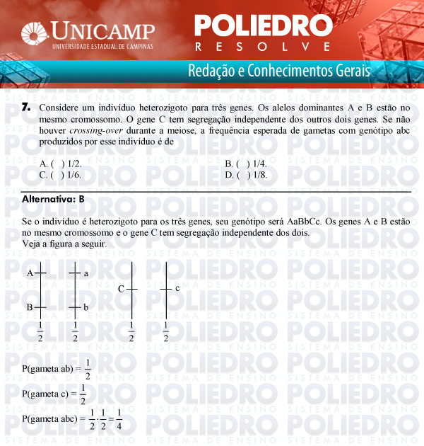 Questão 7 - 1ª Fase Versão Q-Z - UNICAMP 2011