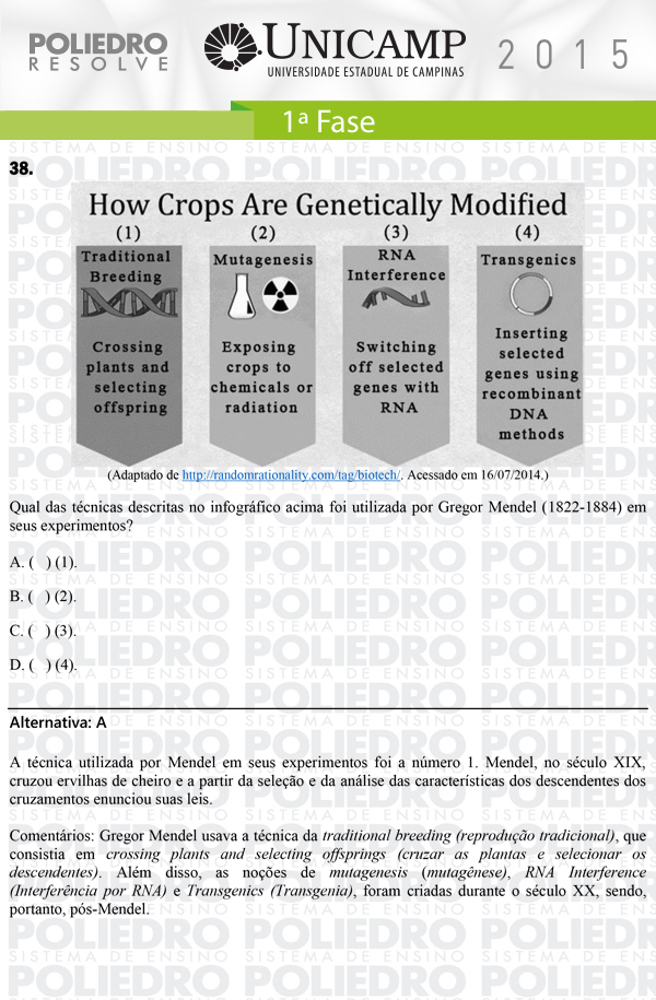 Questão 38 - 1ª Fase - UNICAMP 2015