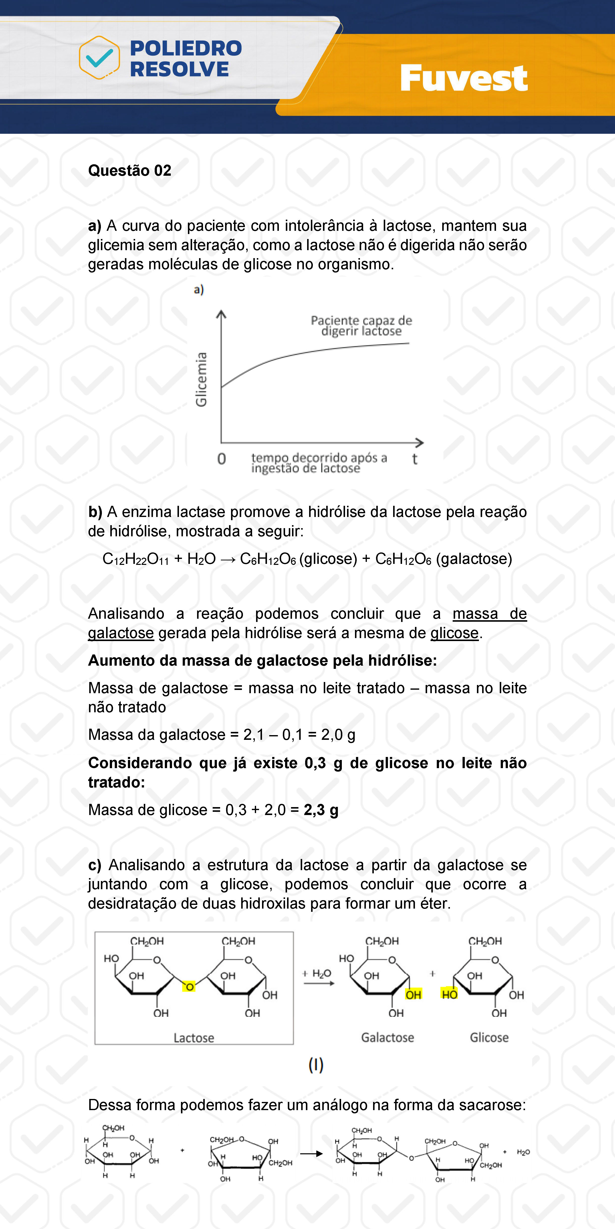 Dissertação 2 - 2ª Fase - 2º Dia - FUVEST 2024