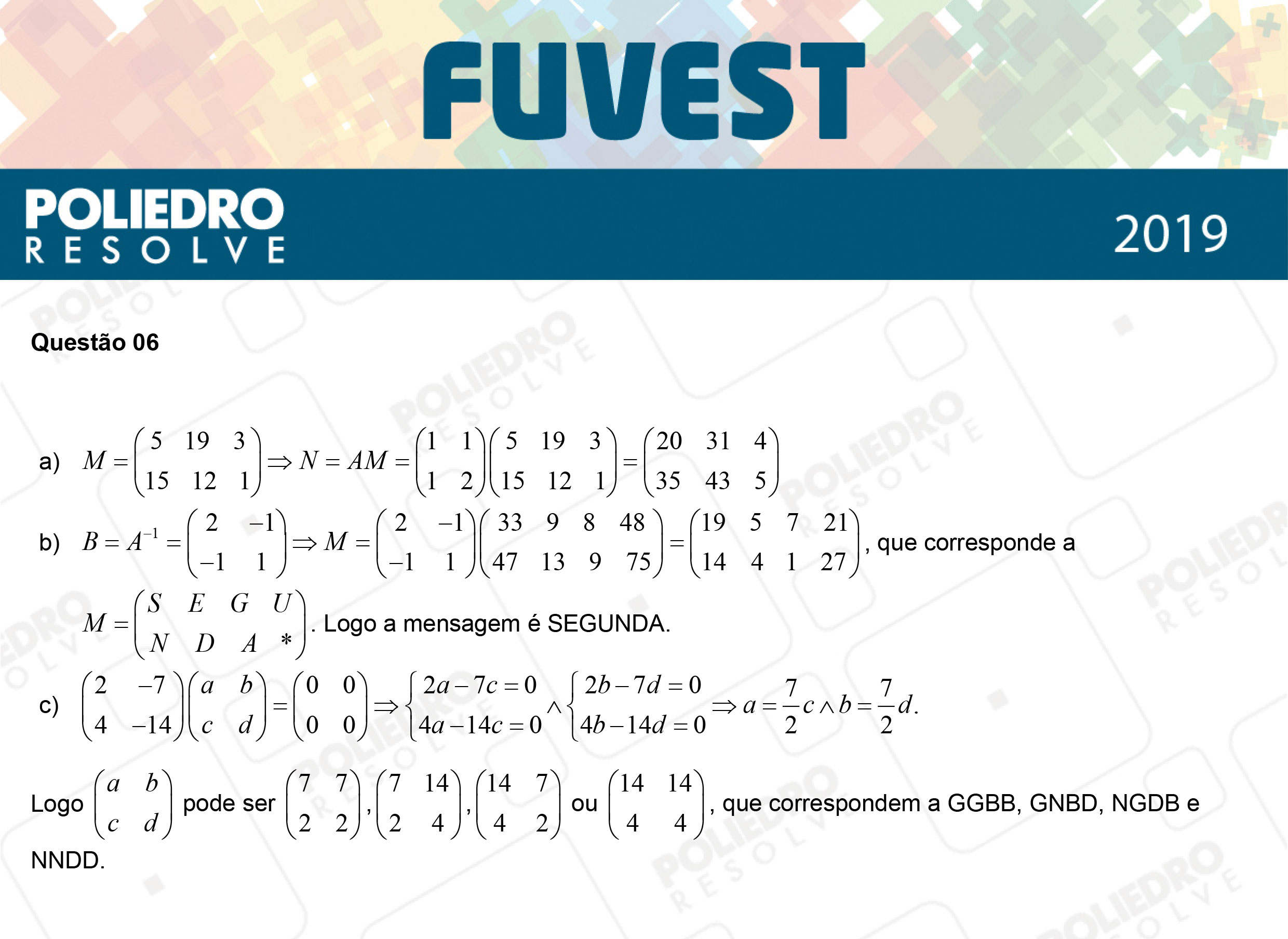 Dissertação 6 - 2ª Fase - 2º Dia - FUVEST 2019