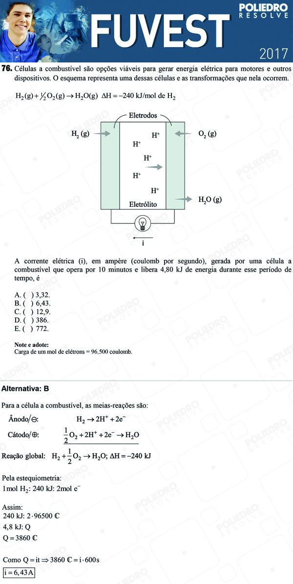 Questão 76 - 1ª Fase - FUVEST 2017