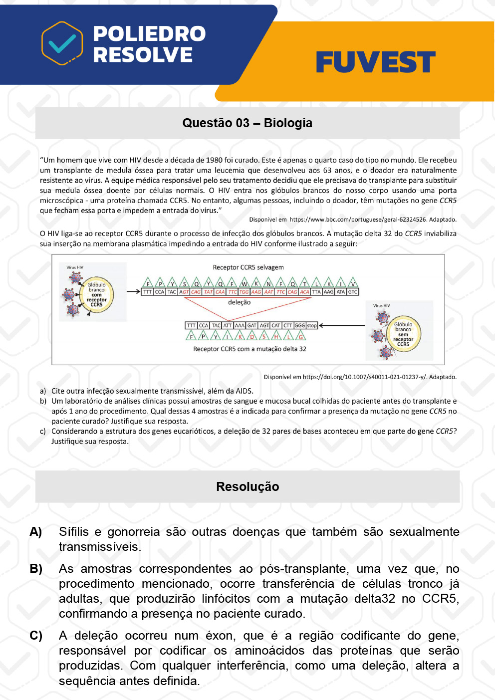 Dissertação 3 - 2ª Fase - 2º Dia - FUVEST 2023