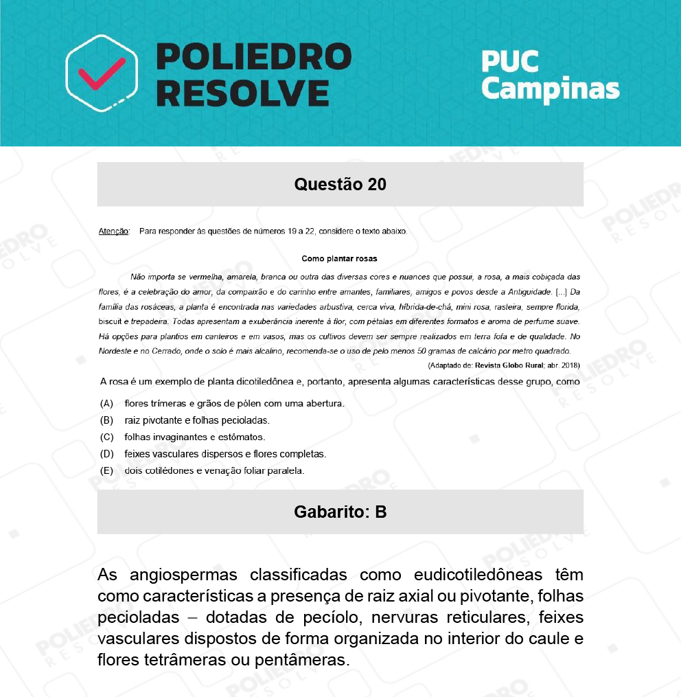 Questão 20 - Demais cursos - PUC-Campinas 2022