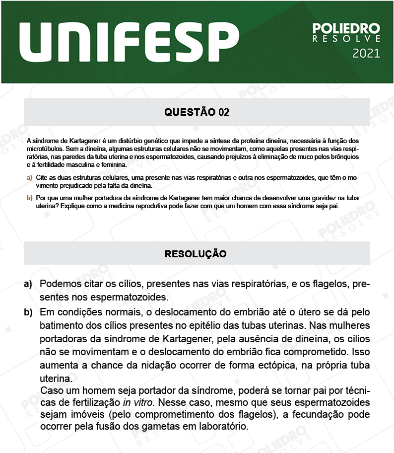 Dissertação 2 - Fase única - 2º Dia - UNIFESP 2021