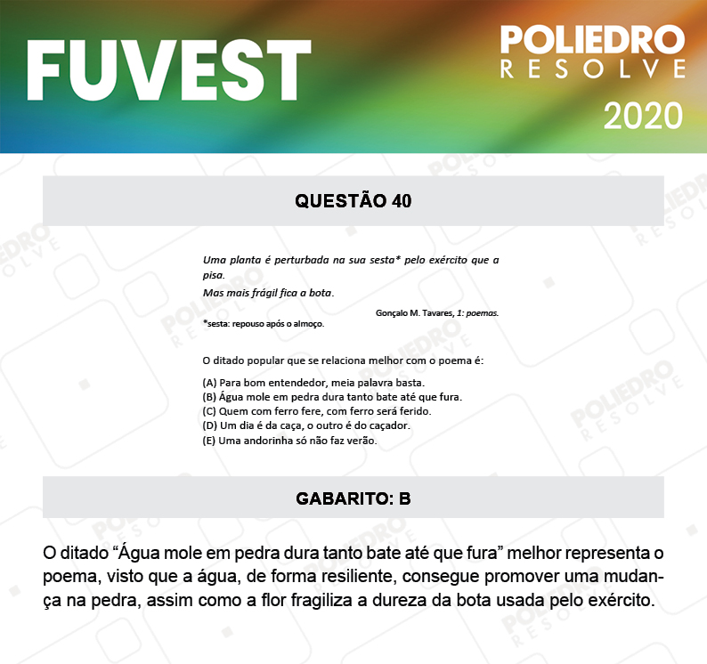 Questão 40 - 1ª Fase - Prova V - FUVEST 2020