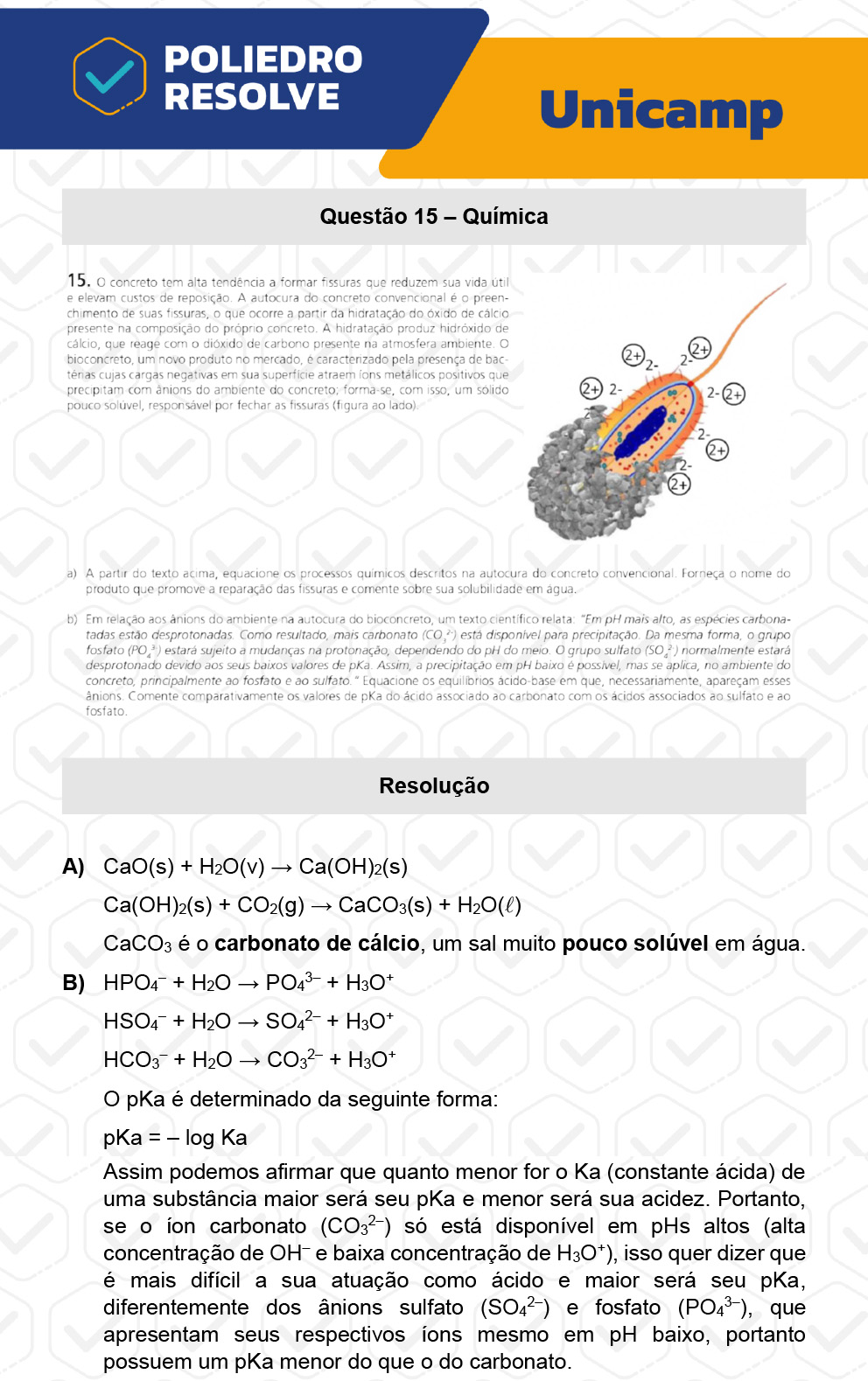 Dissertação 15 - 2ª Fase - 2º Dia - UNICAMP 2023