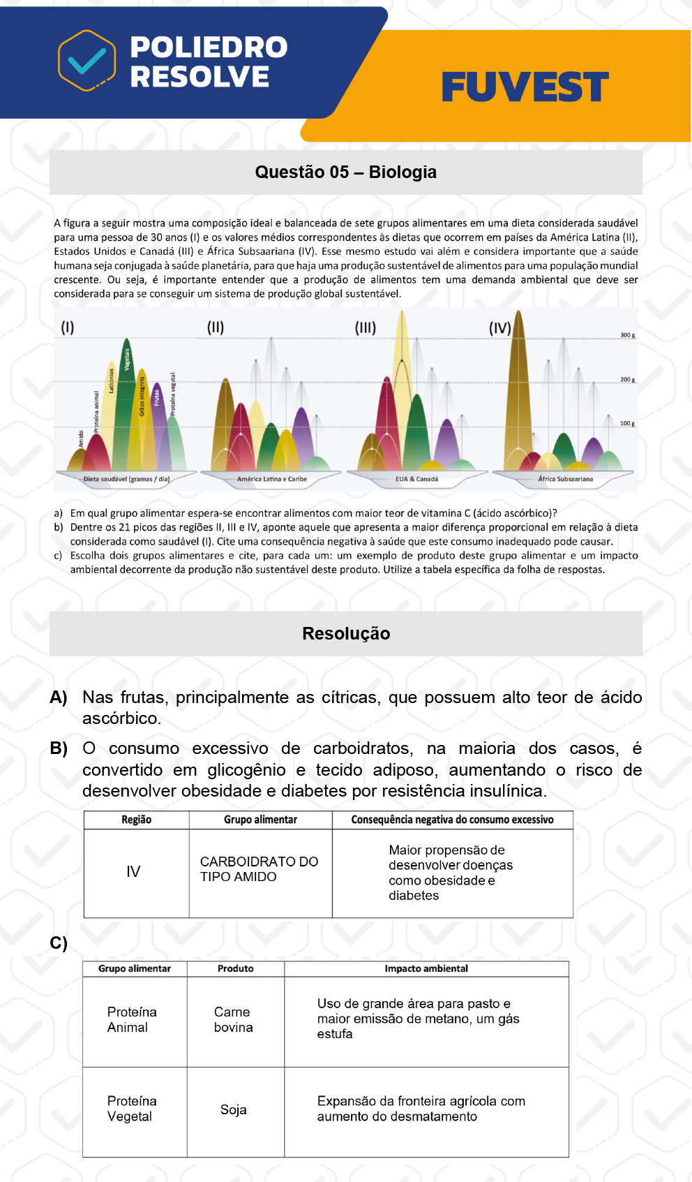 Dissertação 5 - 2ª Fase - 2º Dia - FUVEST 2023