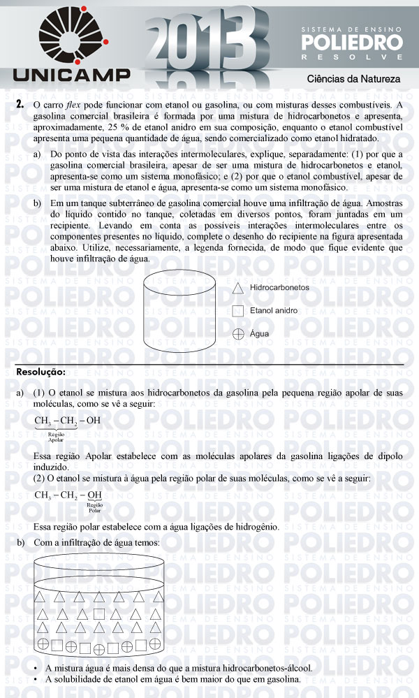 Dissertação 2 - 2ª Fase - UNICAMP 2013