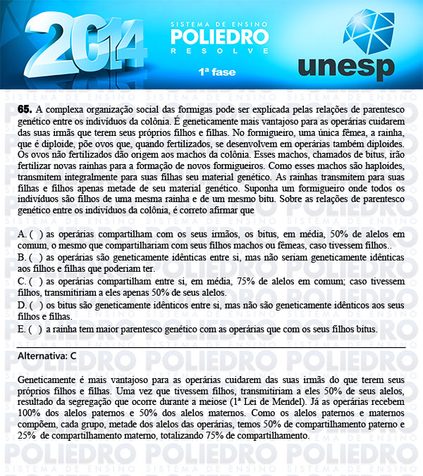 Questão 65 - 1ª Fase - UNESP 2014