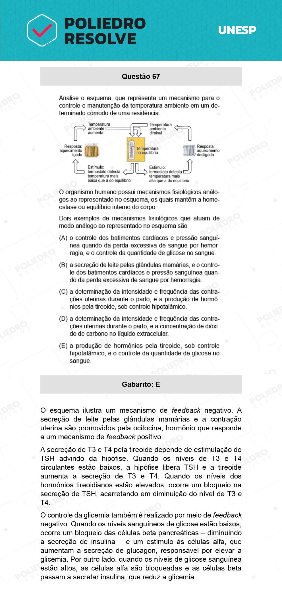 Questão 67 - 1ª Fase - Ext / Hum - UNESP 2022