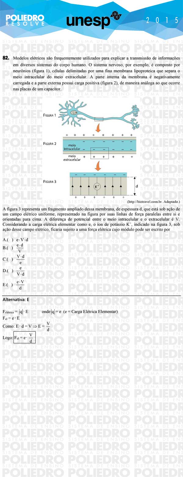 Questão 82 - 1ª Fase - UNESP 2015