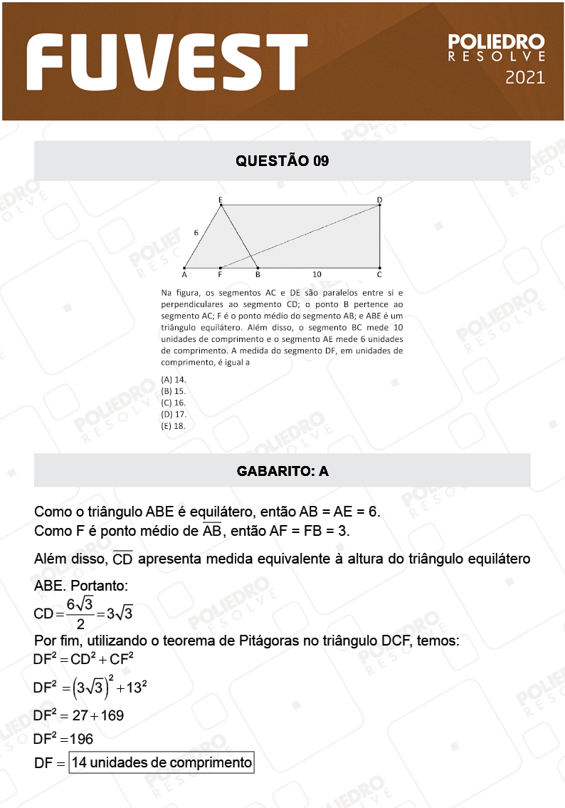 Questão 9 - 1ª Fase - FUVEST 2021