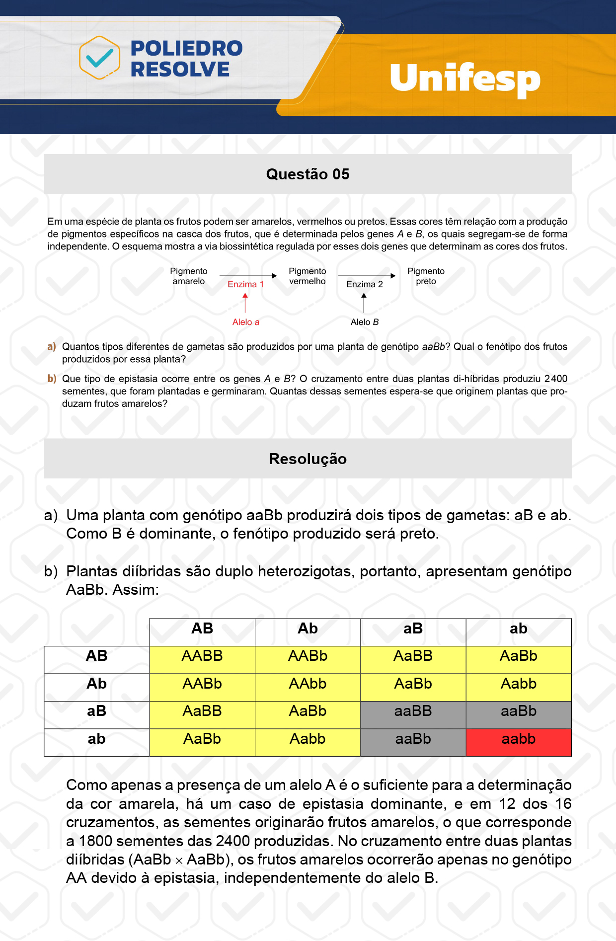 Dissertação 5 - 2º Dia - UNIFESP 2024