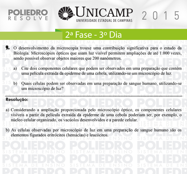 Dissertação 9 - 2ª Fase 3º Dia - UNICAMP 2015