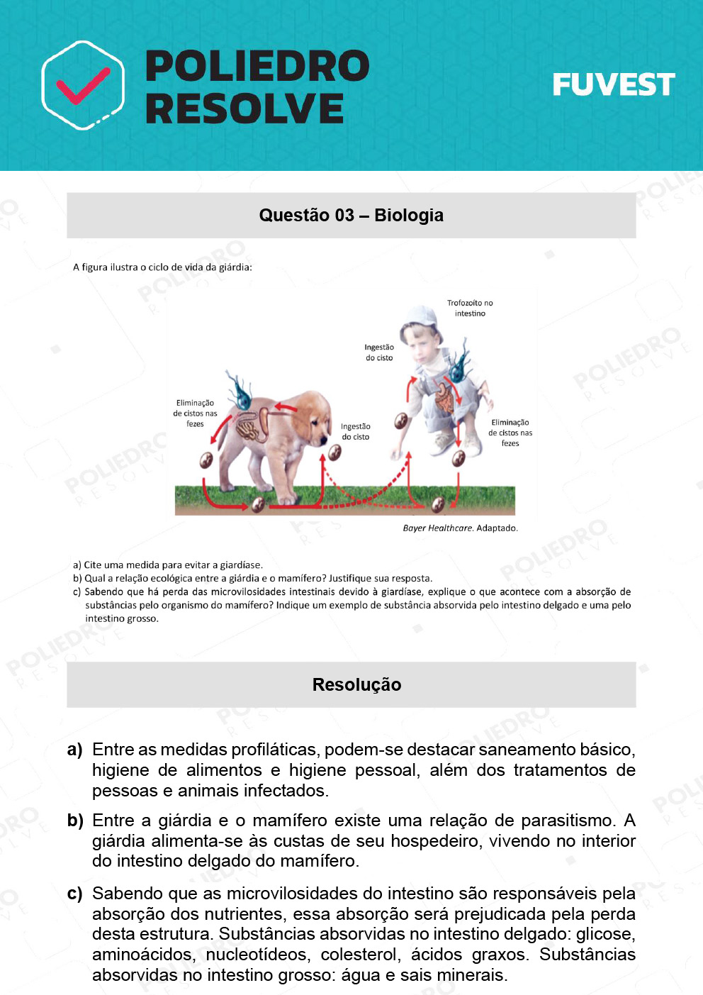 Dissertação 3 - 2ª Fase - 2º Dia - FUVEST 2022