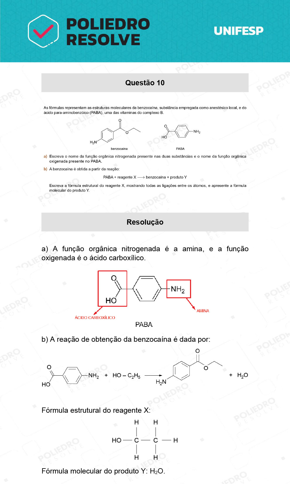 Dissertação 10 - 2º Dia - 21/01/22 - UNIFESP 2022