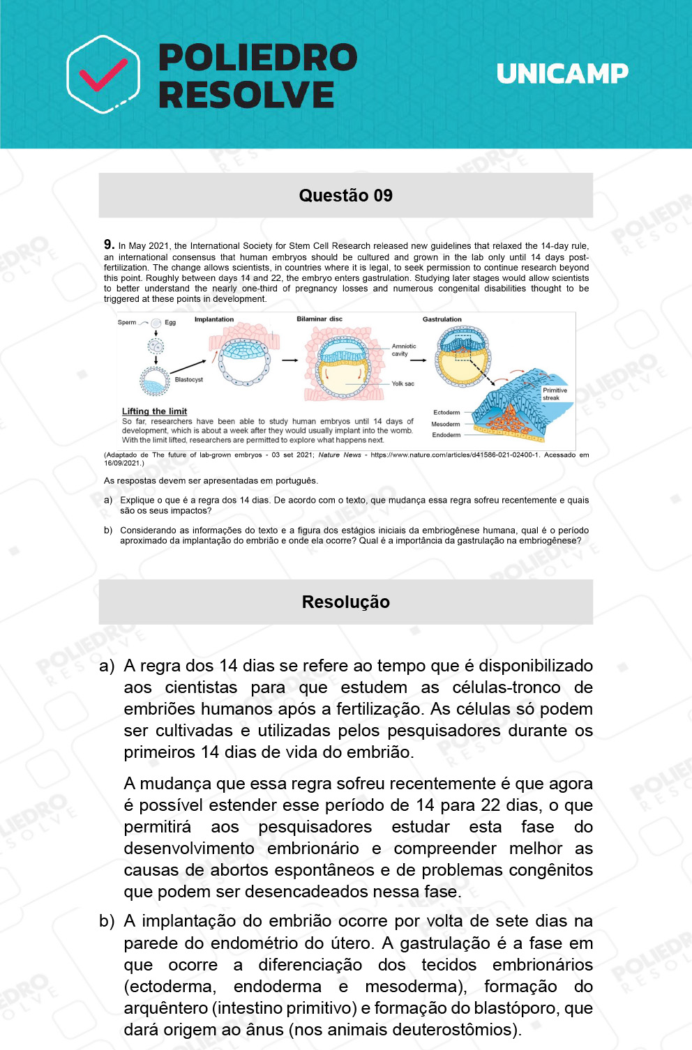 Dissertação 9 - 2ª Fase - 1º Dia - UNICAMP 2022