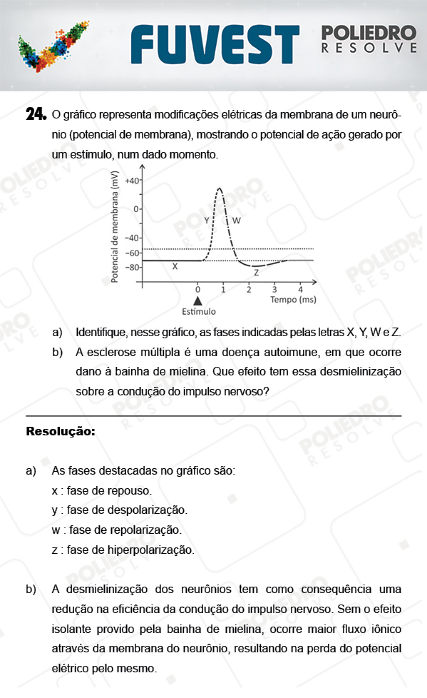 Dissertação 6 - 2ª Fase - 3º Dia - FUVEST 2018