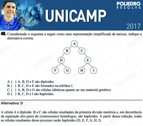 Questão 40 - 1ª Fase - UNICAMP 2017