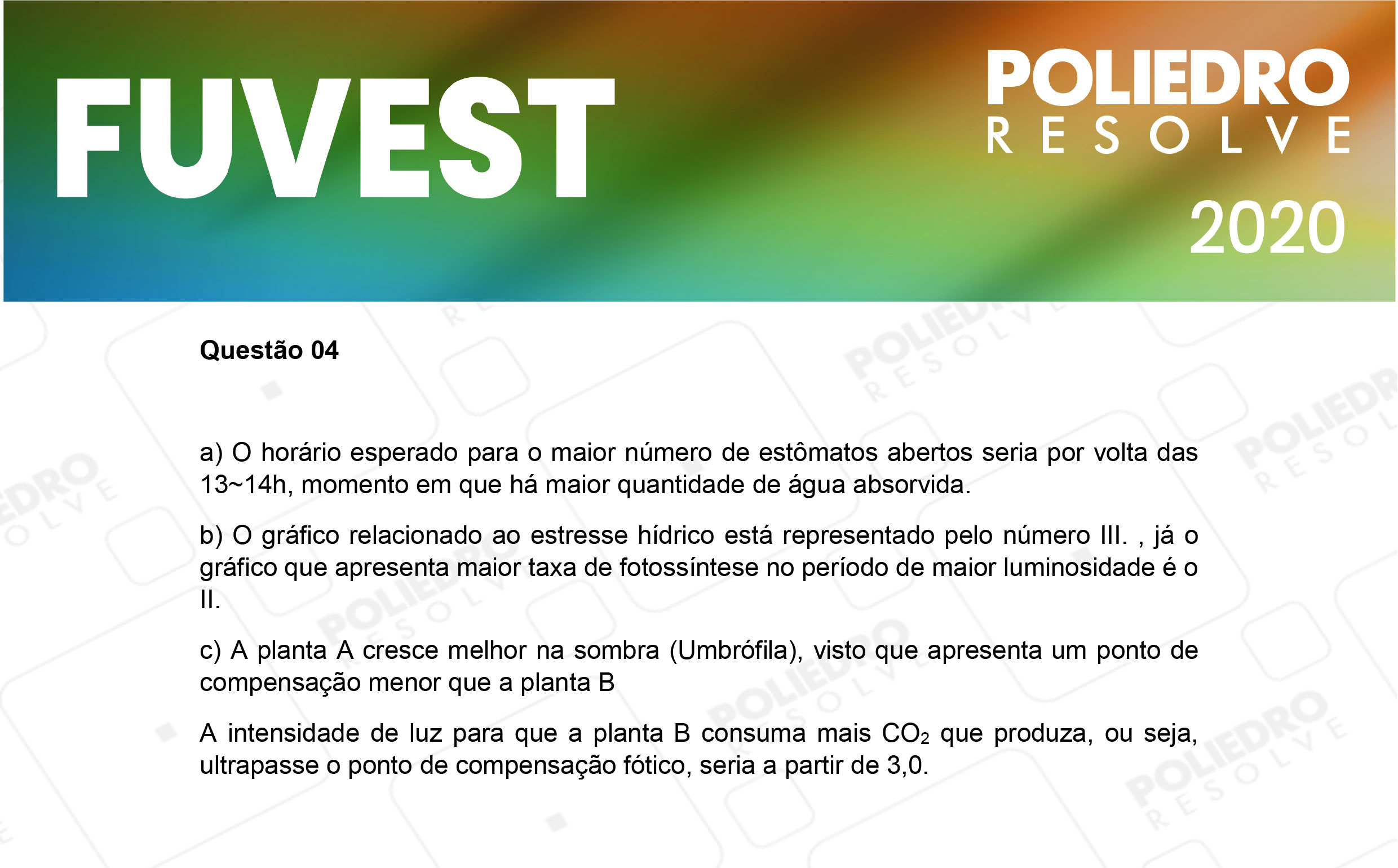 Dissertação 4 - 2ª Fase - 2º Dia - FUVEST 2020