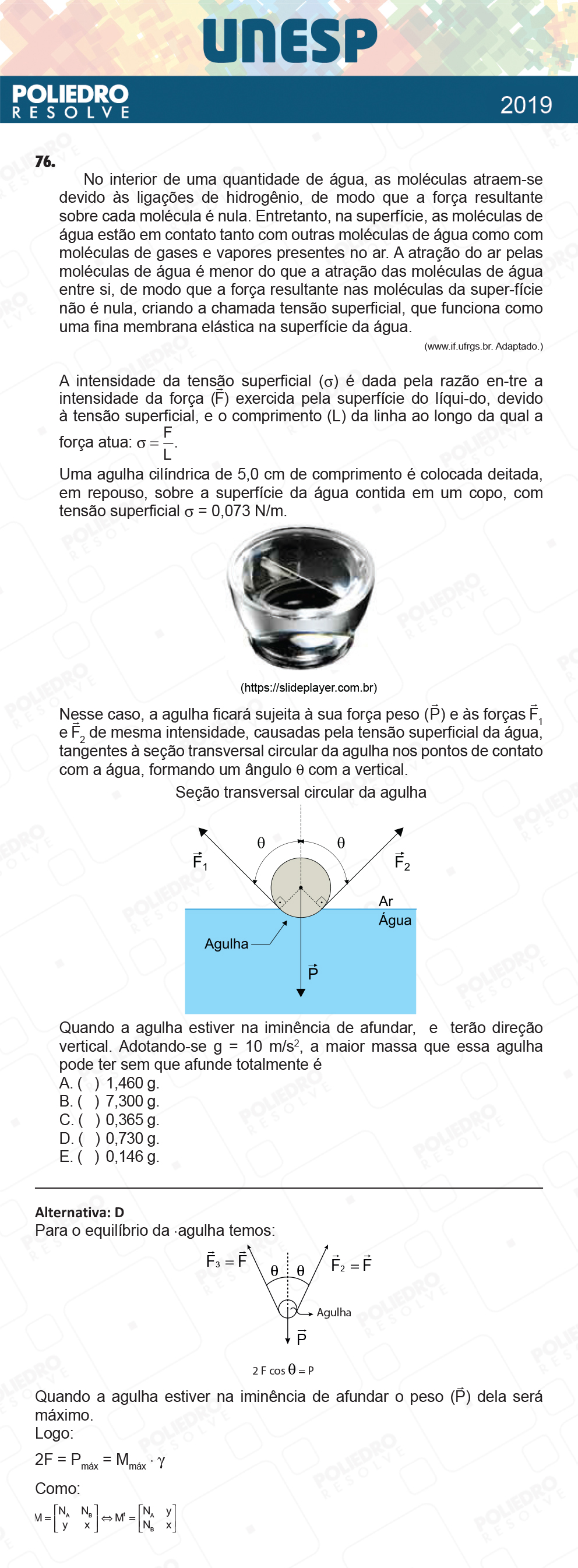 Questão 76 - 1ª Fase - UNESP 2019