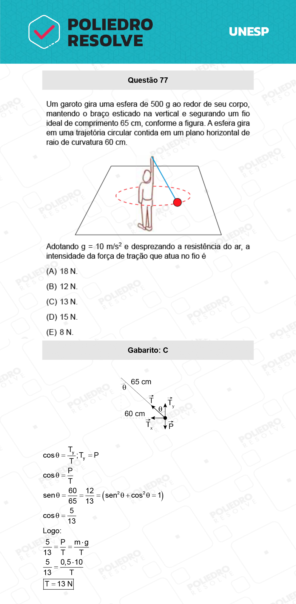 Questão 77 - 1ª Fase - Biológicas - UNESP 2022